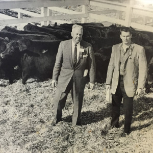 PDC Vintage - 2nd & 3rd Generations